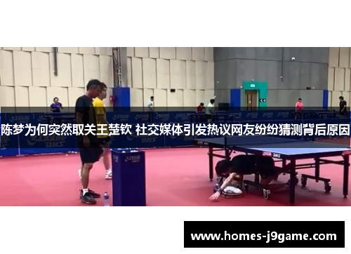 陈梦为何突然取关王楚钦 社交媒体引发热议网友纷纷猜测背后原因