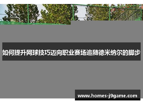 如何提升网球技巧迈向职业赛场追随德米纳尔的脚步